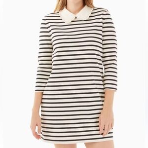 Kate Spade Collared Dress‎